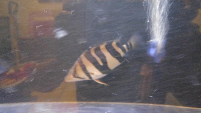 20170204_171716.jpg