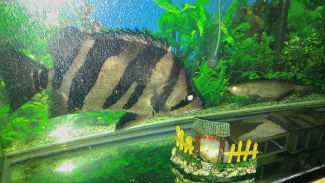 20170206_003241.jpg
