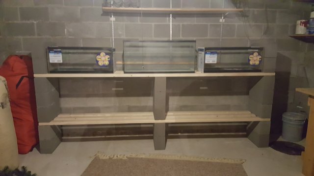 20170223_233520.jpg 20170223_233520.jpg