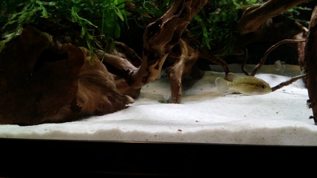 20161009_161523.jpg