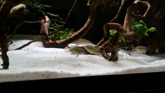 20161009_161544.jpg
