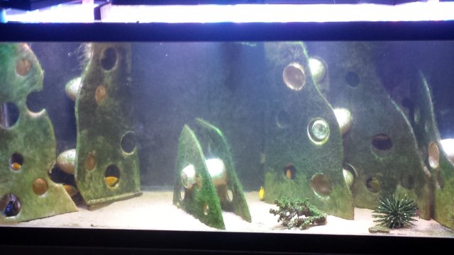 20170220_051946.jpg