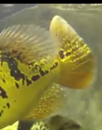 IMG_3554.jpg IMG_3554.jpg