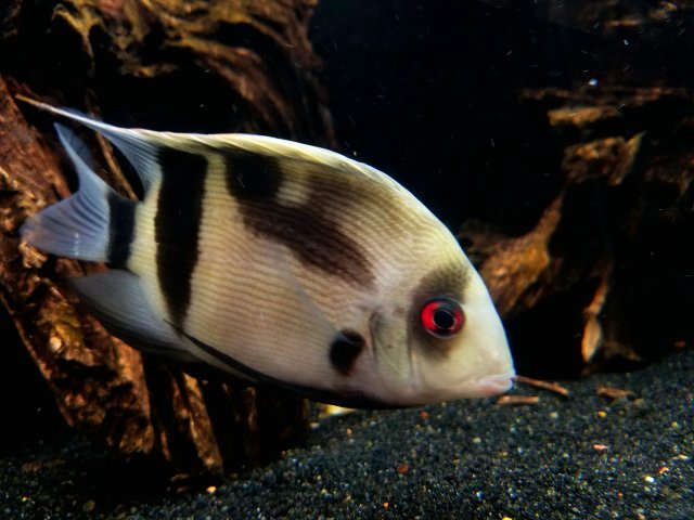 20161101_144413.jpg
