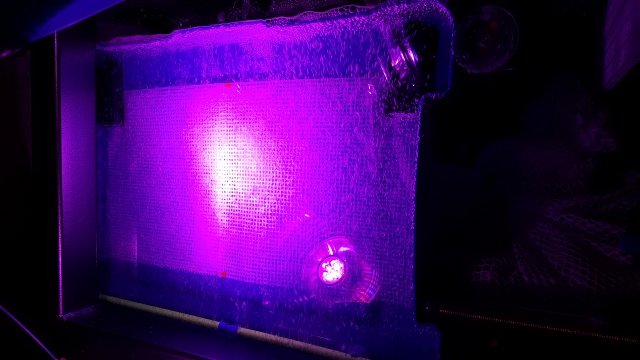 20170225_221858.jpg