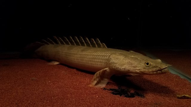 20170225_224223.jpg