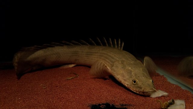 20170225_224142.jpg
