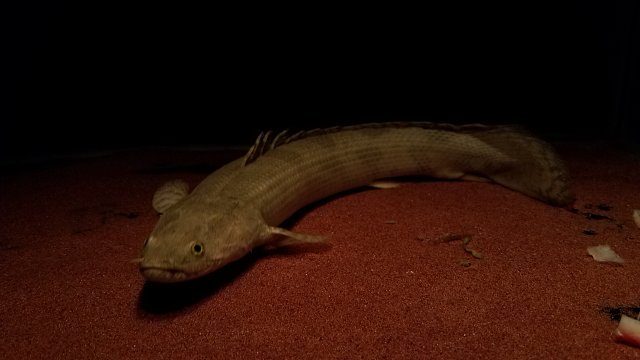 20170225_224005.jpg
