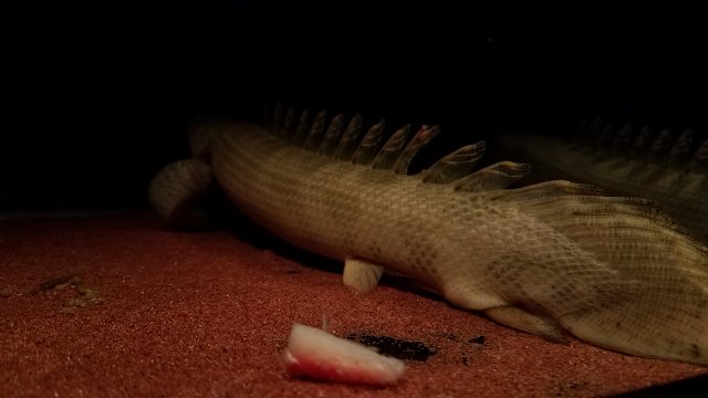 20170225_223950.jpg