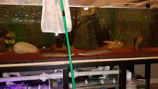 20170226_075439.jpg