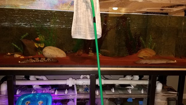 20170226_075351.jpg