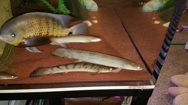 20170226_074850.jpg