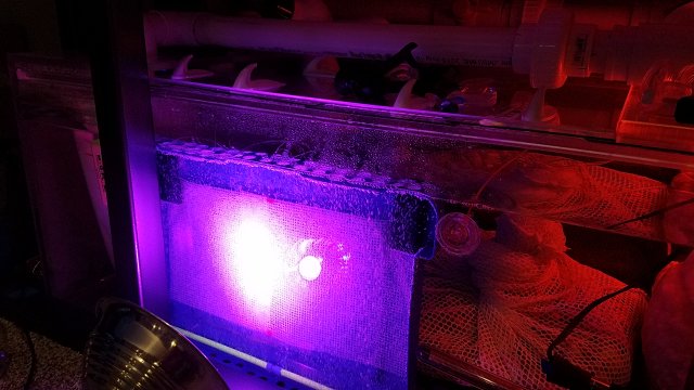 20170226_105029.jpg