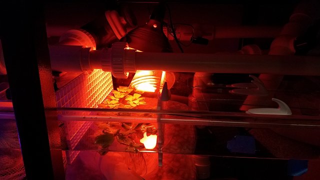 20170226_105035.jpg