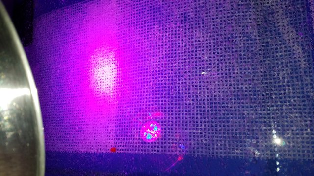 20170226_105216.jpg