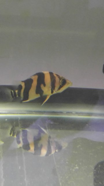 20170226_182351.jpg
