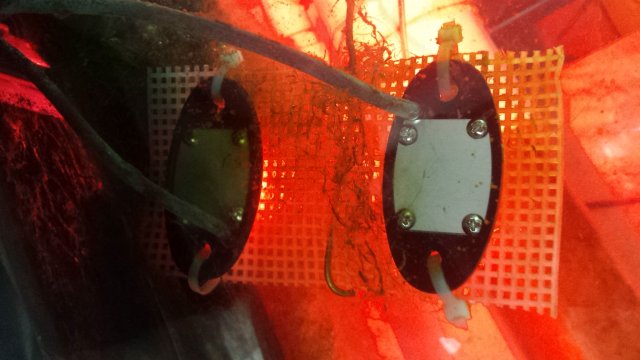 20170226_085439.jpg