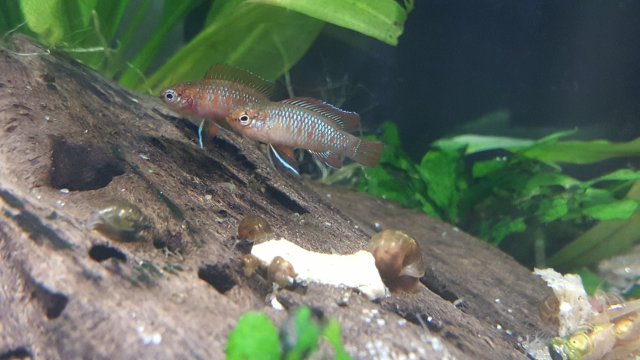 20170222_190204.jpg