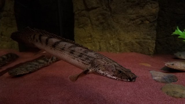 20170227_163001.jpg