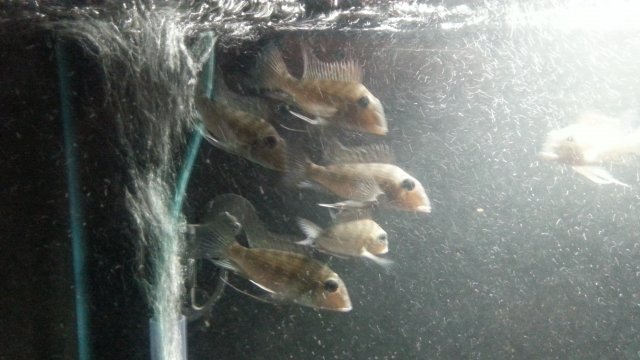 20170227_153934.jpg