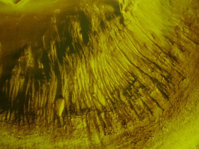 20170228_044856.jpg