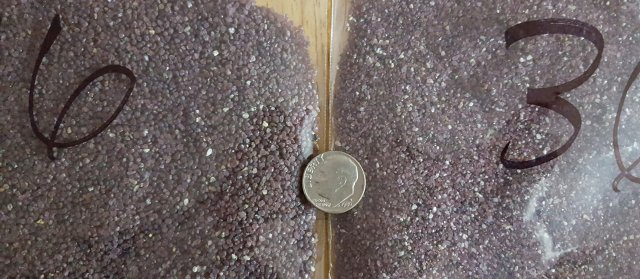 20170228_101505.jpg