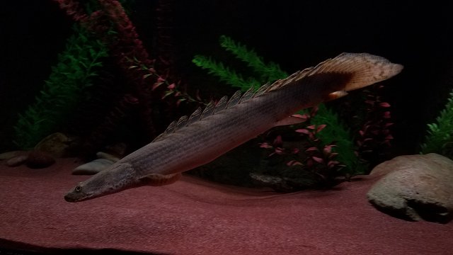 20170228_200049.jpg