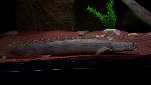 20170228_194623.jpg