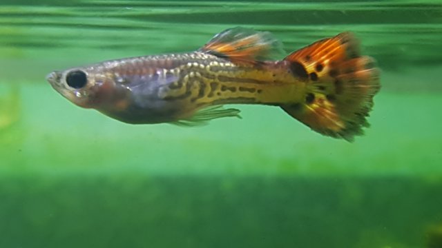 20161222_192548.jpg