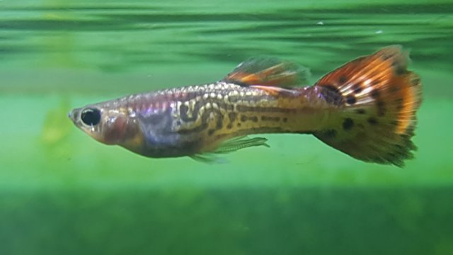 20161222_192549.jpg