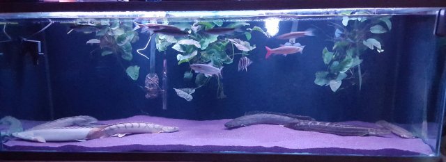 20170301_071358.jpg
