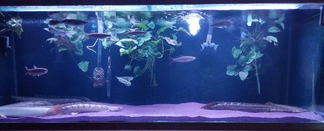 20170301_071819.jpg