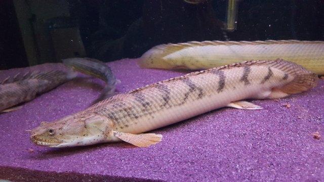 20170301_152902.jpg 20170301_152902.jpg