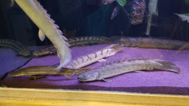 20170301_154611.jpg