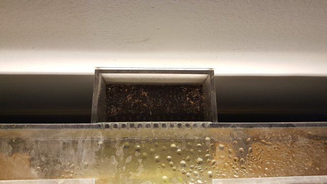 20170115_143923.jpg 20170115_143923.jpg