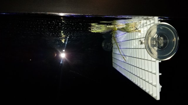 20170302_135905.jpg