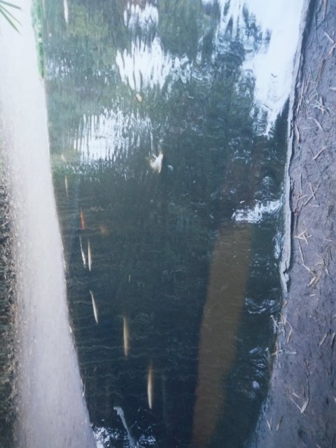 20170302_115312.jpg