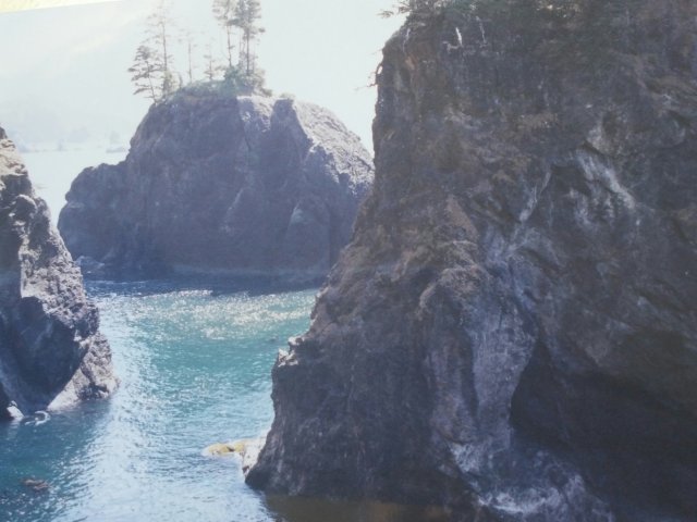 20170302_115456~2.jpg