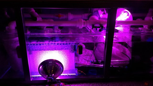 20170302_163354.jpg