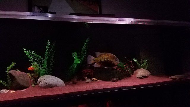 20170226_204453.jpg