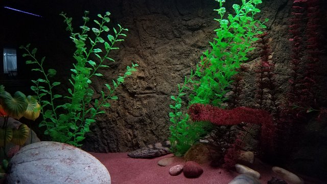 20170302_102358.jpg