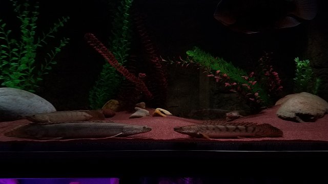 20170301_192225.jpg
