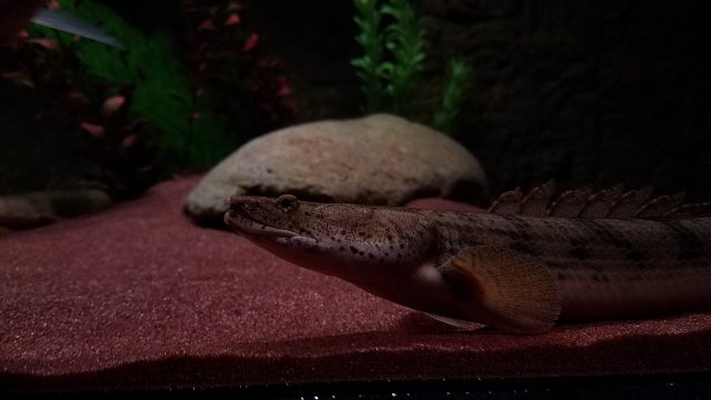 20170301_192209.jpg