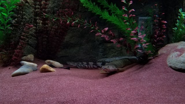 20170302_102502.jpg