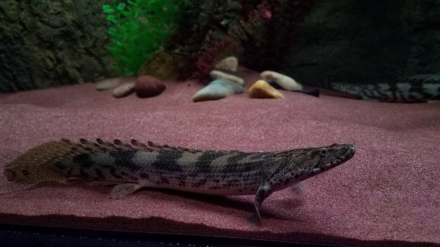 20170302_102450.jpg