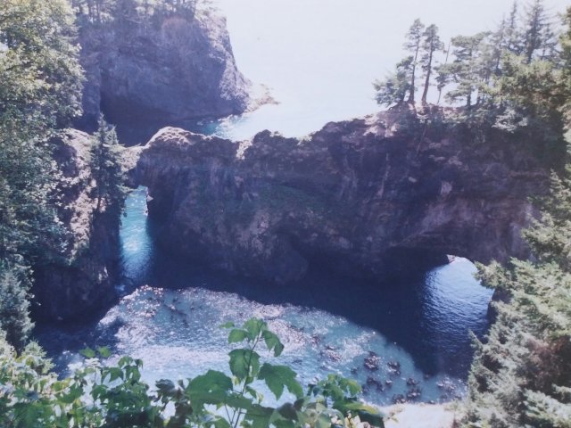 20170302_115518~2.jpg