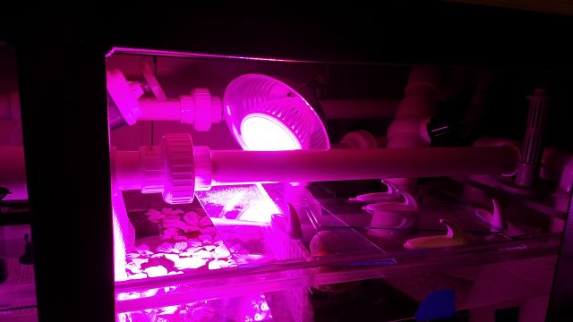 20170302_172804.jpg