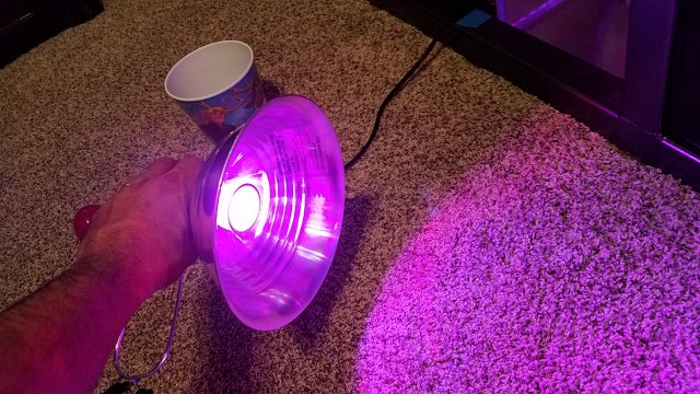 20170302_172840.jpg