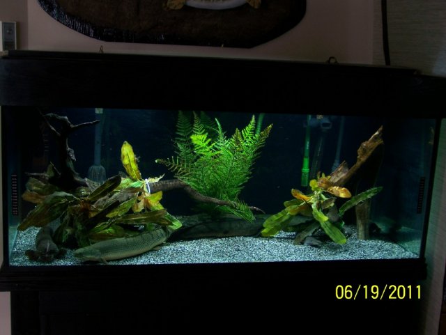 FTS.jpg