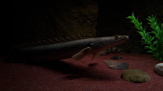 20170302_182020.jpg